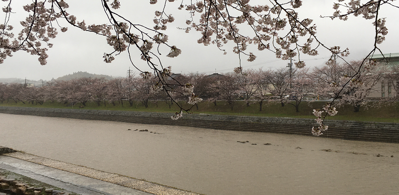 f:id:miyakebito:20210328191221p:plain