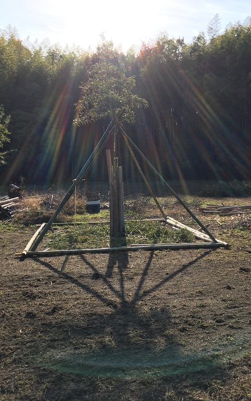 f:id:miyakebito:20211118221447j:plain:w400