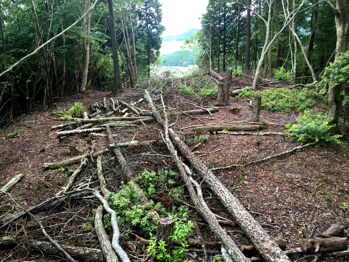 f:id:miyakemasaru:20190503183954j:plain f:id:miyakemasaru:20190503183954j:plain