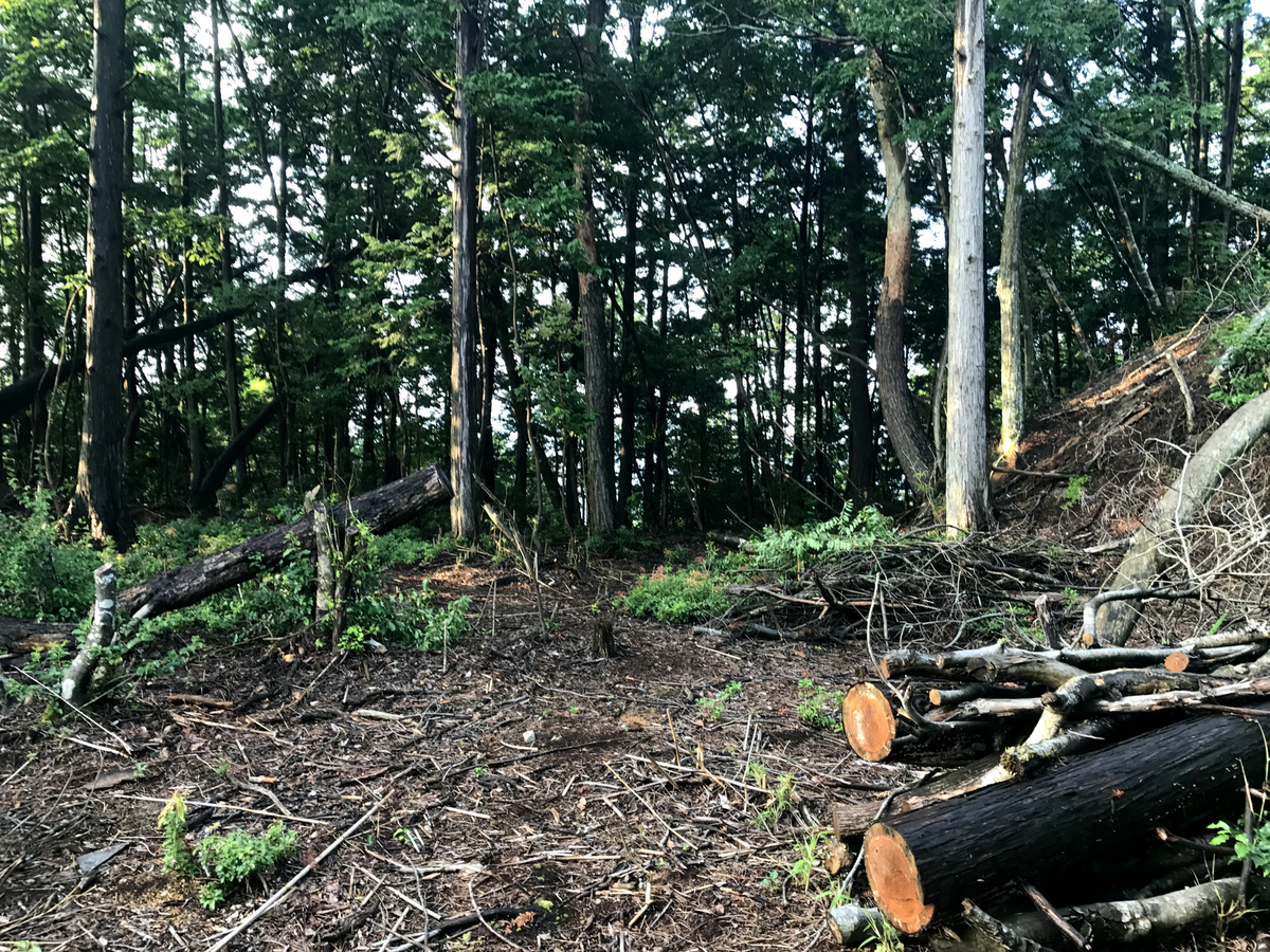 f:id:miyakemasaru:20190503185105j:plain f:id:miyakemasaru:20190503185105j:plain