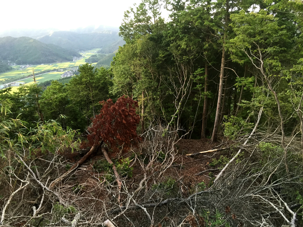 f:id:miyakemasaru:20190503185438j:plain f:id:miyakemasaru:20190503185438j:plain