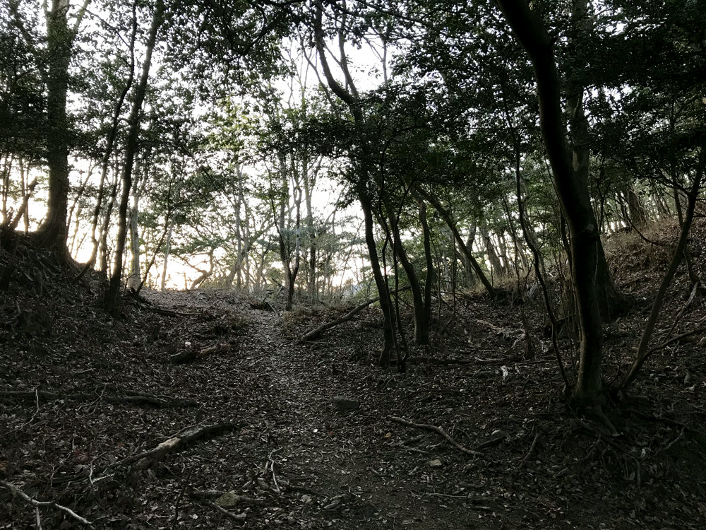 f:id:miyakemasaru:20190724234015j:plain f:id:miyakemasaru:20190724234015j:plain