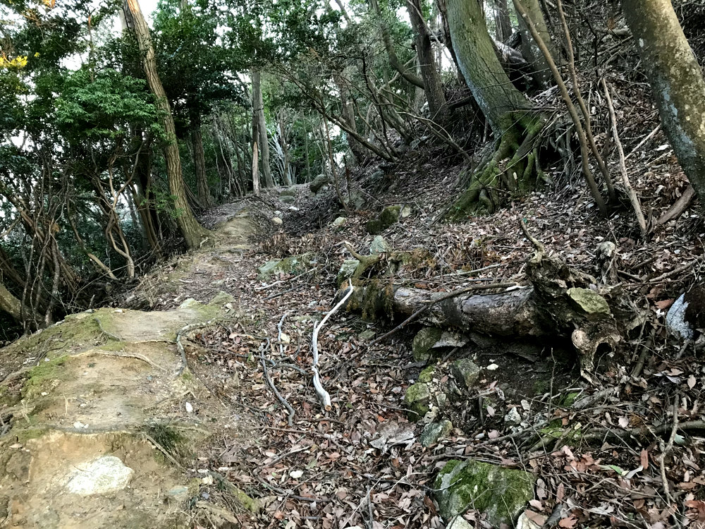 f:id:miyakemasaru:20190724234128j:plain f:id:miyakemasaru:20190724234128j:plain