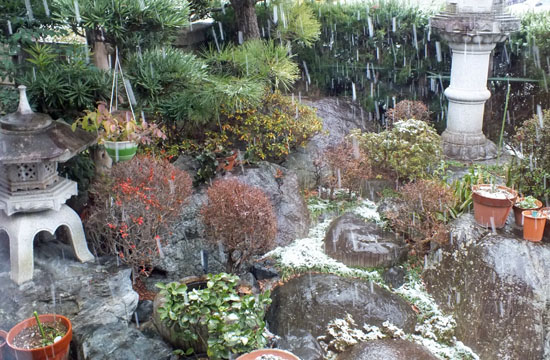 f:id:miyako2226:20120104164041j:image:w360