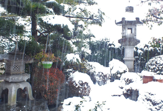 f:id:miyako2226:20120105214445j:image:w360