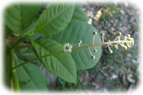 f:id:miyako2226:20120804000142j:image:w450