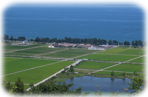 f:id:miyako2226:20120804000624j:image:w450