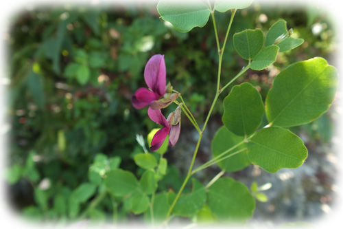 f:id:miyako2226:20120804004046j:image:w450