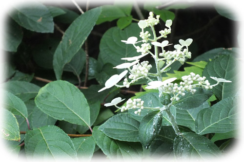 f:id:miyako2226:20120810231320j:image:w450