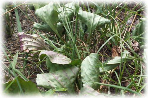 f:id:miyako2226:20120810234404j:image:w450