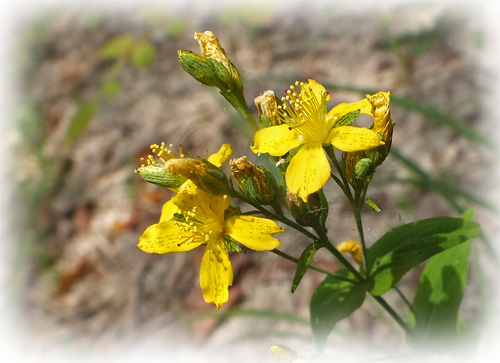 f:id:miyako2226:20120811002610j:image:w450