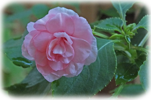 f:id:miyako2226:20120825110337j:image:w500