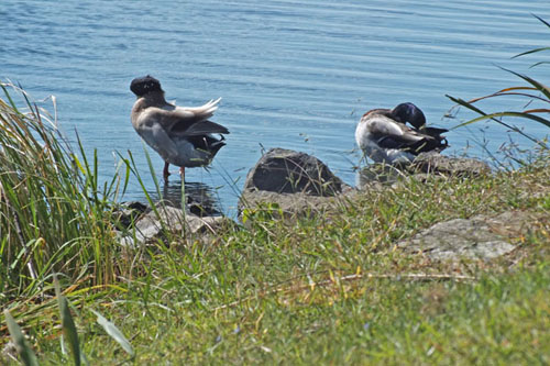 f:id:miyako2226:20121024110249j:image:w450