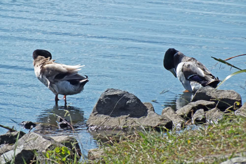 f:id:miyako2226:20121024110629j:image:w450