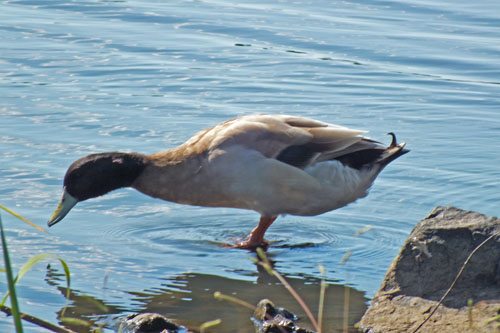 f:id:miyako2226:20121024110916j:image:w220