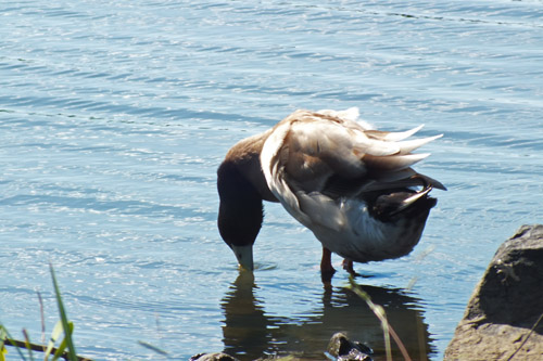 f:id:miyako2226:20121024110918j:image:w220