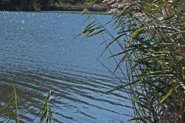 f:id:miyako2226:20121024111243j:image:w450