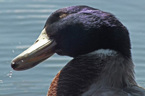 f:id:miyako2226:20121024112207j:image:w450