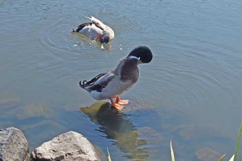 f:id:miyako2226:20121024114819j:image:w450