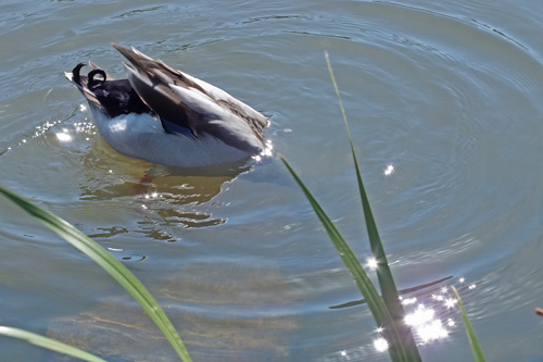 f:id:miyako2226:20121024115743j:image:w450