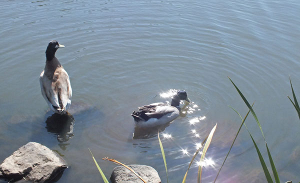 f:id:miyako2226:20121024115912j:image:w450