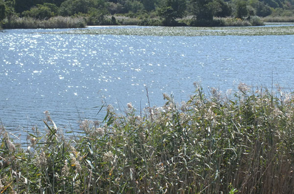 f:id:miyako2226:20121024201848j:image:w600