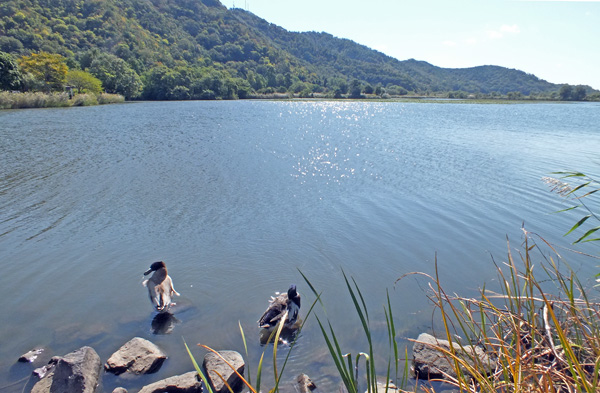 f:id:miyako2226:20121024201849j:image:w600