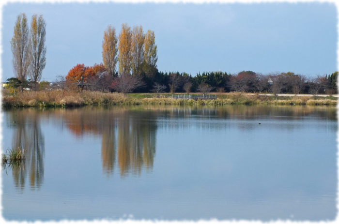 f:id:miyako2226:20121202111549j:image:w500