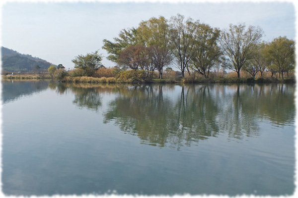 f:id:miyako2226:20121202112717j:image:w500
