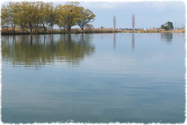 f:id:miyako2226:20121202112858j:image:w500