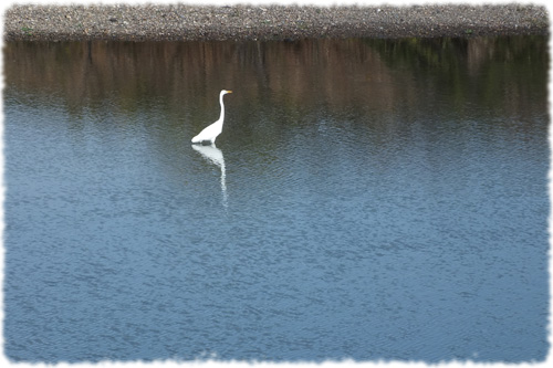 f:id:miyako2226:20121202121518j:image:w500