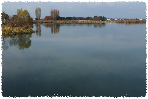 f:id:miyako2226:20121202221111j:image:w500