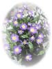 f:id:miyako2226:20121202221330j:image:right