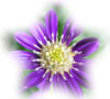 f:id:miyako2226:20121204151641j:image:right