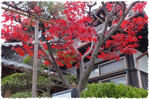 f:id:miyako2226:20121204153504j:image:w450