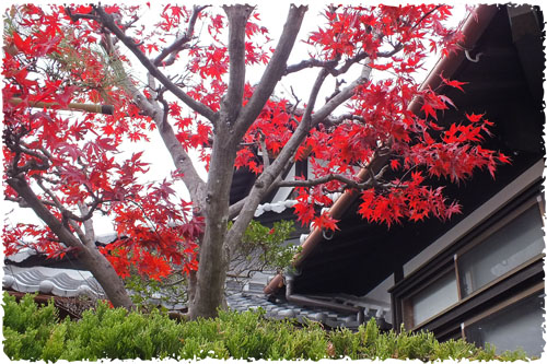f:id:miyako2226:20121204154456j:image:w450