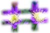 f:id:miyako2226:20121205112342j:image:right f:id:miyako2226:20121205112342j:image:right
