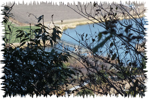 f:id:miyako2226:20121207171655j:image:w450
