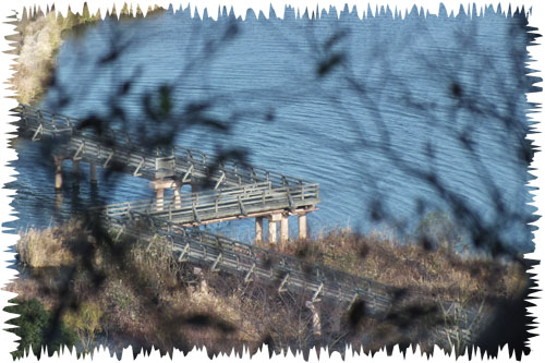 f:id:miyako2226:20121207171946j:image:w450