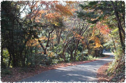 f:id:miyako2226:20121207172601j:image:w450