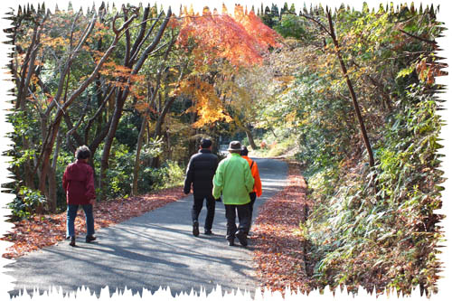 f:id:miyako2226:20121207172636j:image:w450