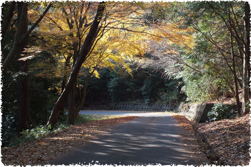 f:id:miyako2226:20121207172730j:image:w450