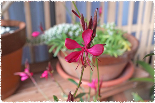 f:id:miyako2226:20121212203357j:image:w450