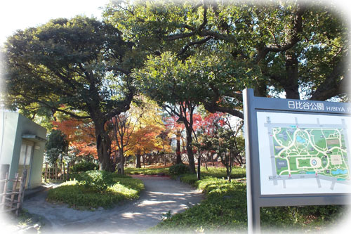 f:id:miyako2226:20121218001939j:image:w450