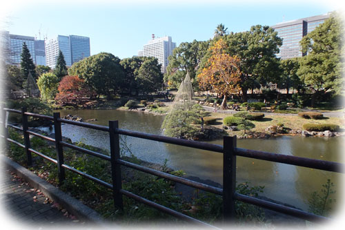 f:id:miyako2226:20121218002212j:image:w450