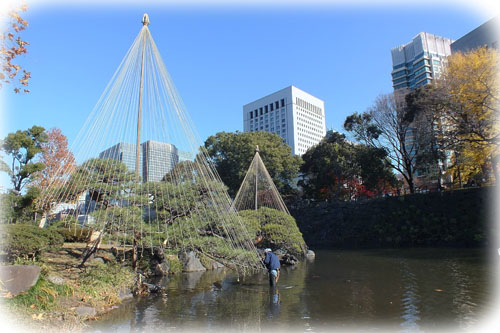 f:id:miyako2226:20121218003742j:image:w450