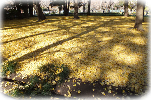 f:id:miyako2226:20121218011313j:image:w450