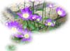 f:id:miyako2226:20121218022940j:image:right