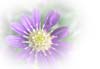 f:id:miyako2226:20121223010333j:image:right f:id:miyako2226:20121223010333j:image:right