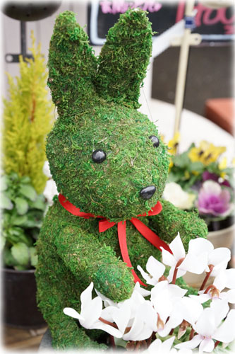f:id:miyako2226:20121223182017j:image:w300 f:id:miyako2226:20121223182017j:image:w300